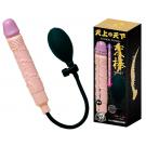日本A-one＊天上天下（へんぼう）膨脹老二